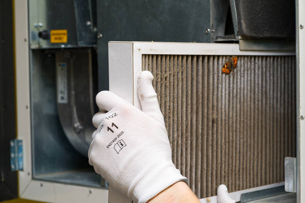 Best Home Air Vent Cleaning  in New Baltimore, VA